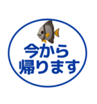 【敬語】デカ文字おさかなスタンプ（個別スタンプ：17）