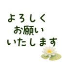 丁寧敬語・大きい文字と和洋のお花（個別スタンプ：17）
