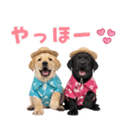 ラブラドールの夏（個別スタンプ：2）
