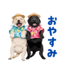ラブラドールの夏（個別スタンプ：5）