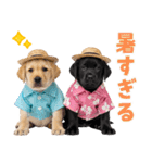 ラブラドールの夏（個別スタンプ：14）