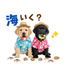 ラブラドールの夏（個別スタンプ：26）