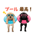 ラブラドールの夏（個別スタンプ：27）