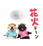 ラブラドールの夏（個別スタンプ：29）