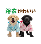 ラブラドールの夏（個別スタンプ：31）