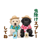 ラブラドールの夏（個別スタンプ：32）