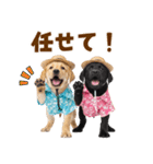ラブラドールの夏（個別スタンプ：34）