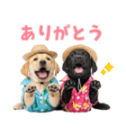 ラブラドールの夏（個別スタンプ：35）
