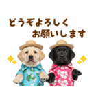 ラブラドールの夏（個別スタンプ：38）