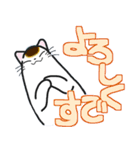 和風猫＜大きな文字7＞（個別スタンプ：4）