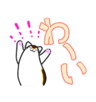 和風猫＜大きな文字7＞（個別スタンプ：5）