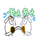 和風猫＜大きな文字7＞（個別スタンプ：18）