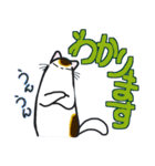 和風猫＜大きな文字7＞（個別スタンプ：21）