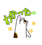 和風猫＜大きな文字7＞（個別スタンプ：22）