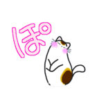 和風猫＜大きな文字7＞（個別スタンプ：24）