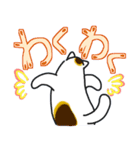 和風猫＜大きな文字7＞（個別スタンプ：26）