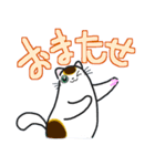 和風猫＜大きな文字7＞（個別スタンプ：31）