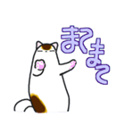 和風猫＜大きな文字7＞（個別スタンプ：35）