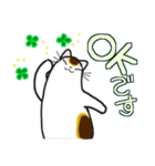 和風猫＜大きな文字7＞（個別スタンプ：36）