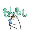 和風猫＜大きな文字7＞（個別スタンプ：37）
