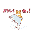 夏もコーギーが可愛い（個別スタンプ：5）