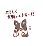 夏もコーギーが可愛い（個別スタンプ：6）