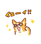 夏もコーギーが可愛い（個別スタンプ：9）