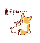 夏もコーギーが可愛い（個別スタンプ：11）
