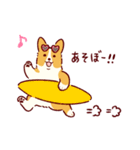 夏もコーギーが可愛い（個別スタンプ：17）