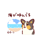 夏もコーギーが可愛い（個別スタンプ：19）