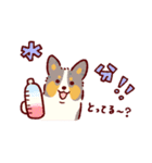 夏もコーギーが可愛い（個別スタンプ：25）