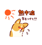夏もコーギーが可愛い（個別スタンプ：26）