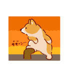 夏もコーギーが可愛い（個別スタンプ：40）