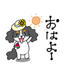 キャバリア達の暑い夏2025.7（個別スタンプ：1）