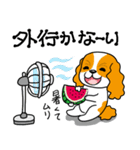 キャバリア達の暑い夏2025.7（個別スタンプ：17）