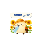 しまちゃんと一緒:夏（個別スタンプ：1）