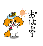 わんこ大集合の暑い夏2025.7（個別スタンプ：1）