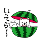 わんこ大集合の暑い夏2025.7（個別スタンプ：8）