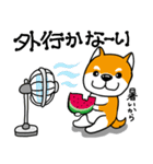 わんこ大集合の暑い夏2025.7（個別スタンプ：17）