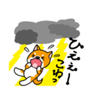 わんこ大集合の暑い夏2025.7（個別スタンプ：24）