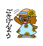 わんこ大集合の暑い夏2025.7（個別スタンプ：40）