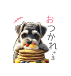 夏のふわふわシュナウザー【日常会話】（個別スタンプ：1）