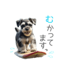 夏のふわふわシュナウザー【日常会話】（個別スタンプ：15）