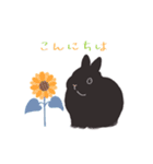 うさぎ 夏（個別スタンプ：1）