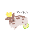 うさぎ 夏（個別スタンプ：9）