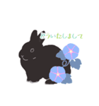 うさぎ 夏（個別スタンプ：13）