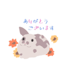 うさぎ 夏（個別スタンプ：18）