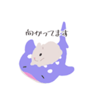 うさぎ 夏（個別スタンプ：25）