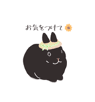 うさぎ 夏（個別スタンプ：26）