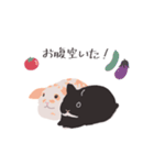 うさぎ 夏（個別スタンプ：29）
